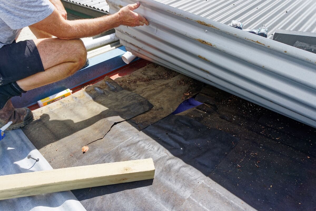 Builder looking under a corrugated iron roof for a water leak.
