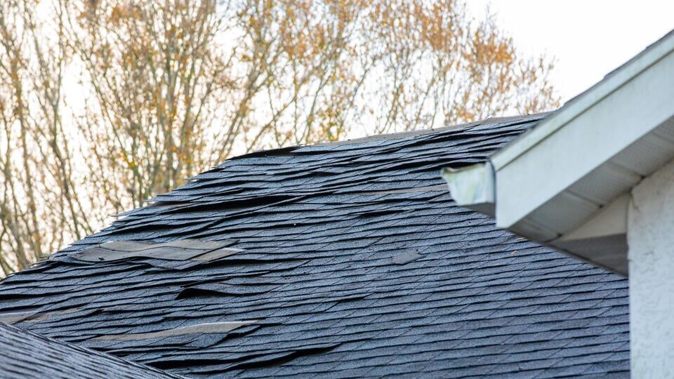 granule loss-house with curling and lifting shingles on roof