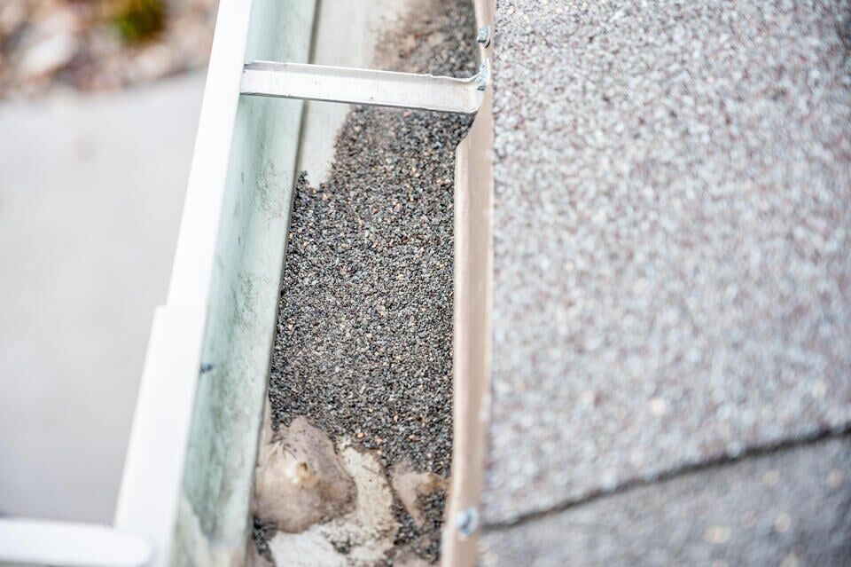 granule loss-loose granules from shingles collecting in gutters