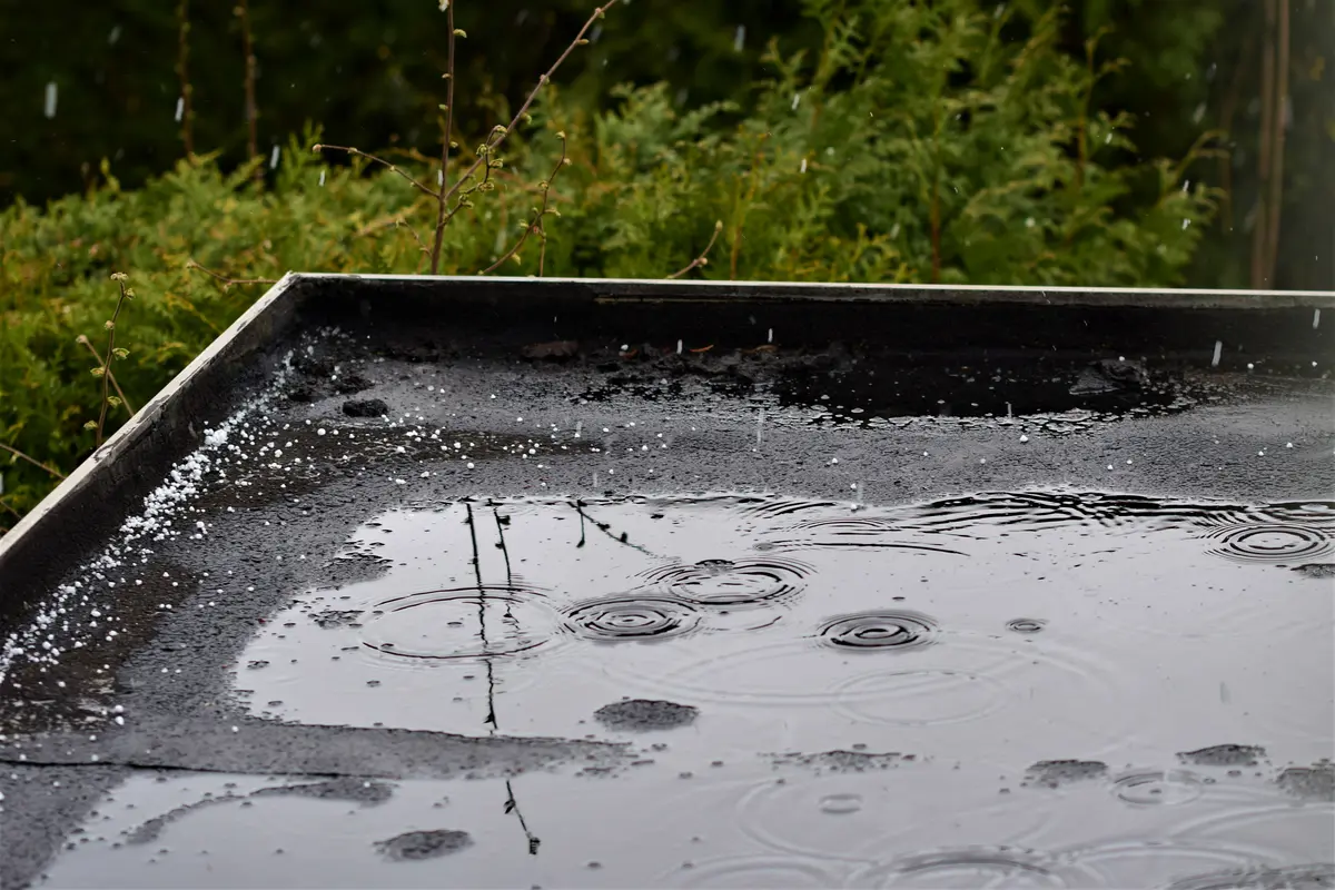 ponding and hail
