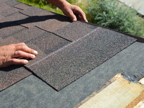 Asphalt Shingles in Indianapolis, IN
