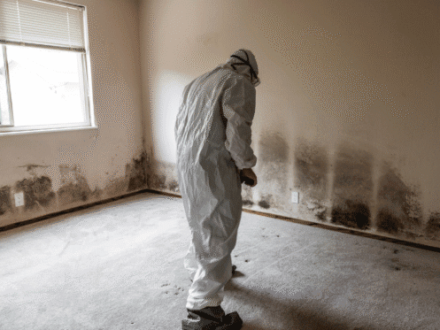 Indy roof & Restoration Removes mold from Indianapolis home