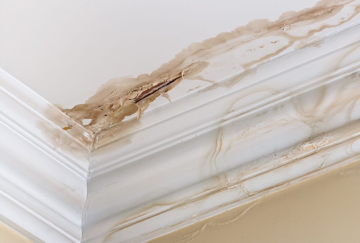 Peeling paint on an interior ceiling a result of water damage caused by a leaking pipe dripping down from upstairs a result of substandard plumbing completed by an unqualified plumber. A common house insurance claim.
