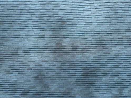 black streaks on roof-close up of black patches and streaks on 3 tab shingles