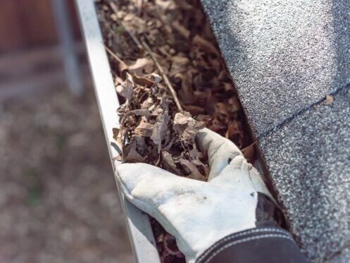 Top view man hand in gloves cleaning house gutter from leaves and dirt. Roof gutter cleaning near shingles roof in summer time