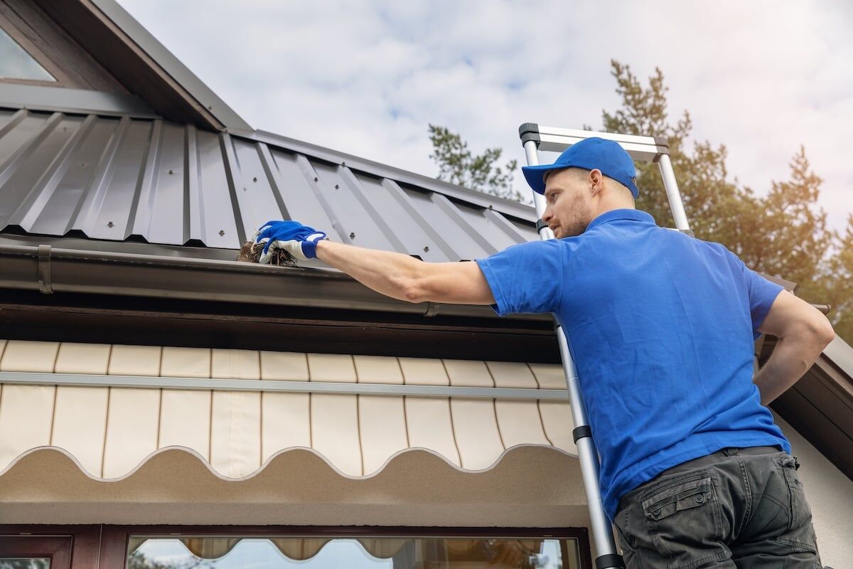 man standing on ladder and cleaning rain gutter