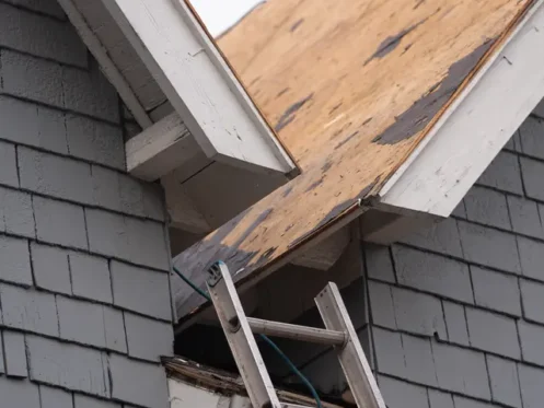 ladder and sheathing