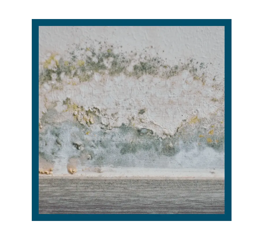 Mold removal after water damage in Indianapolis, IN 