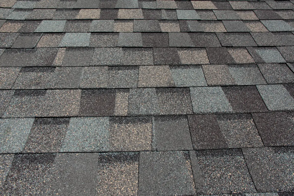 multicolored architectural shingles