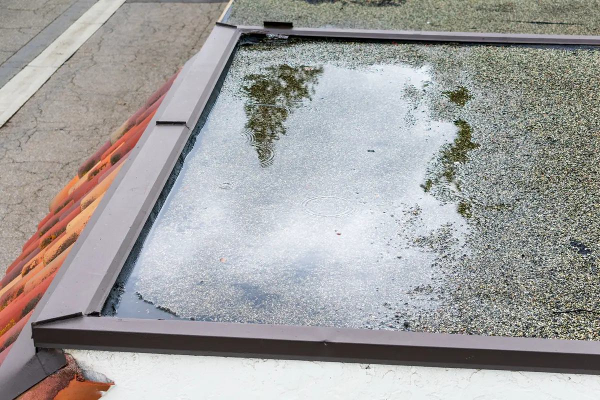 ponding on flat roof