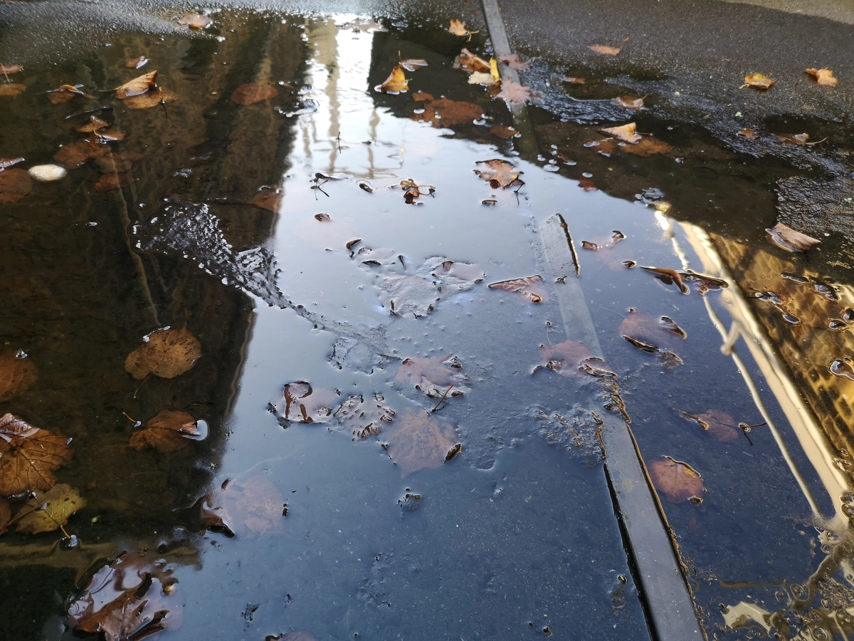 puddle on roof