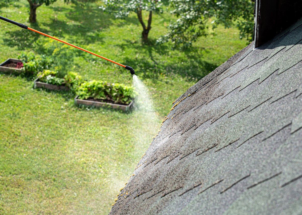 Spraying moss removing chemical to home roof.
