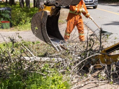Closeup view on hydraulic arm of an excavator at work clearing tree branches and debris after a storm