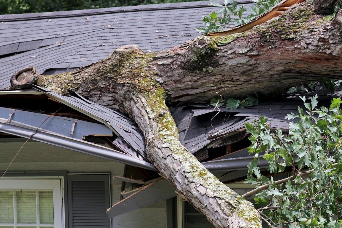 A heavy oak tree falls on a house during a storm