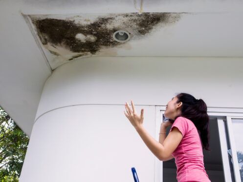 mold growing on ceiling from water damage