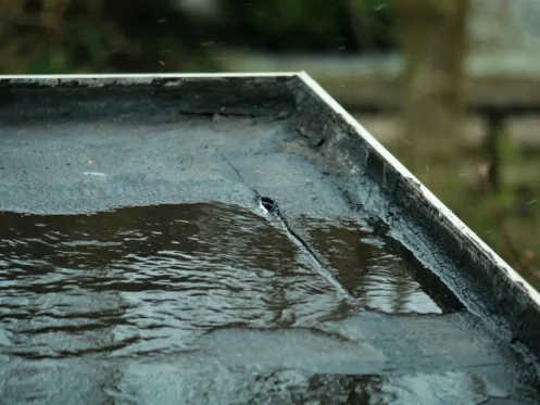 water on a flat roof